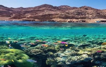 دهب.. لؤلؤة مصر السياحية بـ«سيناء» ومصدر قوي لدعم الاقتصاد القومي.. رحلة ممتعة في أرض الفيروز