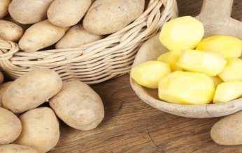 دراسة حديثة تنفي وجود علاقة بين استهلاك البطاطس وأمراض القلب
