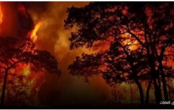 حل "غير مسبوق".. أمريكا تستخدم السجناء لمكافحة حرائق لوس أنجلوس