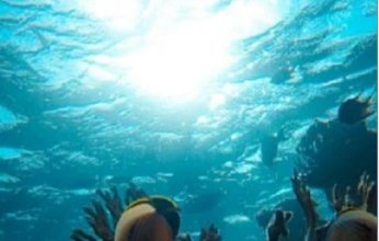 دراسة تكشف أسرار تخزين الكربون في المحيط ودوره في تنظيم المناخ.. ما التفاصيل؟