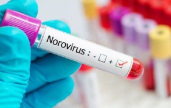 ينتشر عبر الملابس.. تحذير مهم بشأن فيروس "نورو"