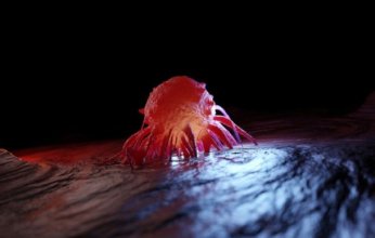 فريق علمي يكتشف آلية جديدة تعزز انتشار السرطان.. ما التفاصيل؟