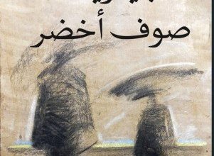 بيريه صوف أخضر مجموعة قصصية جديدة للصحفية والقاصة.. هايدي فاروق