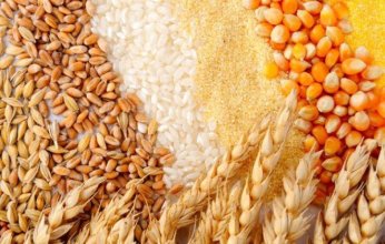 خبراء روس يبتكرون مستحضرا جديدا يعزز نمو محاصيل الحبوب