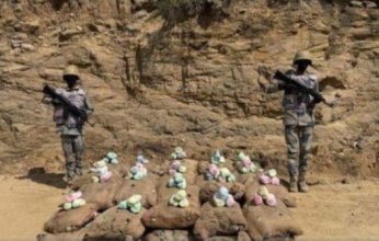 إحباط محاولة تهريب كمية من نبات القات المخدر بمنطقة عسير