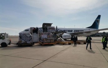 الخارجية المصرية: إرسال المساعدات الإغاثية لدمشق يأتي دعما للشعب السوري ولتعزيز الروابط التاريخية