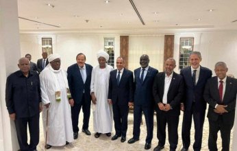 وزير الخارجية المصري يلتقي مع مجموعة من الوزراء السودانيين