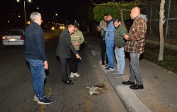 مصر.. ظهور حيوان الـ"إيجوانا" في منطقة حضرية ببورسعيد يثير القلق والجهات الرسمية تتحرك