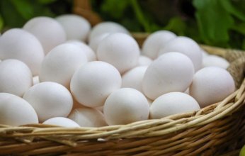 تركيا تساعد أمريكا في تجاوز أزمة "البيض".. ما التفاصيل؟