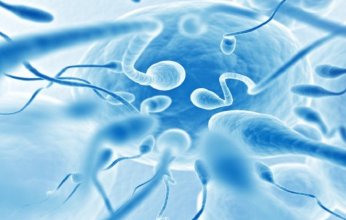 ثورة طبية في الأفق.. روبوتات دقيقة لعلاج الخصوبة وتوصيل الأدوية بدقة متناهية