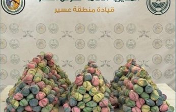 إحباط محاولة تهريب كمية من نبات القات المخدر في الربوعة