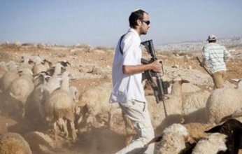 مستوطنون يعتدون على رعاة الماشية غرب بردلة بالأغوار الشمالية