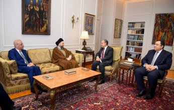 وزير الخارجية المصري يؤكد على ضرورة احترام سيادة سوريا ووحدة وسلامة أراضيها