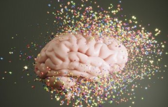 دراسة حديثة تحذر من تزايد مستويات البلاستيك الدقيق داخل الدماغ