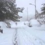 khaligyoun86315