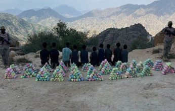 إحباط محاولة تهريب كمية من نبات القات المخدر في جازان