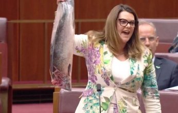 بالفيديو.. شاهد قصة سمكة السلمون التي أشعلت مجلس الشيوخ الأسترالي (تفاصيل)