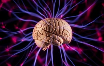 دراسة حديثة تحذر: الإفراط في استهلاك السعرات الحرارية يضعف وظائف الدماغ