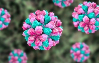 لقاح فموي جديد ضد فيروس نوروفيروس يظهر استجابات مناعية قوية