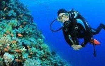 وزارة السياحة تدفع بلجان للتفتيش على مراكز الغوص والأنشطة البحرية بالبحر الأحمر