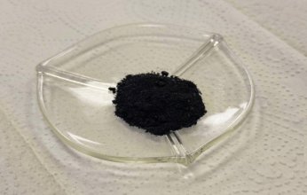 علماء روس يبتكرون فحما حيويا لتنظيف التربة من المعادن الثقيلة