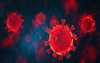 اكتشاف فيروس كورونا جديد في خفافيش البرازيل وسط قلق وترقب عالمي.. هل يشكل تهديداً للبشر؟