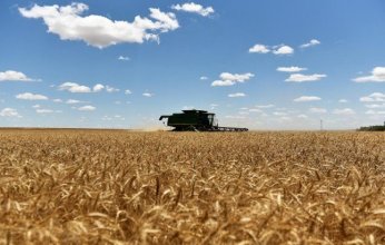 صادرات الحبوب الأمريكية تواجه تحديات ضخمة.. إليك السبب