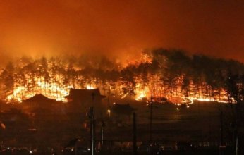 حرائق الغابات في كوريا الجنوبية تخرج عن السيطرة وتلتهم حوالي 15 ألف هكتار.. ماذا يحدث؟