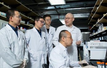 دراسة صينية تتوصل إلى الآلية الرئيسية وراء علاج السرطان بالبكتيريا