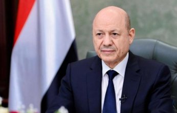 العليمي: فلسطين ستظل هي القضية المركزية للدول والشعوب العربية