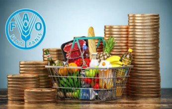 الفاو: ارتفاع أسعار الغذاء العالمية في فبراير الماضي