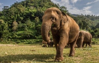 ما علاقة حجم الجسم واحتمال الإصابة بالسرطان؟.. دراسة تجيب