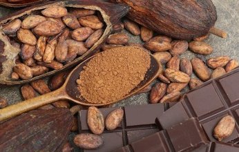 أسعار الكاكاو تهبط بواقع ألف دولار للطن في يوم واحد.. ما الأسباب؟