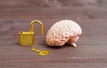 هل تقليل استخدام الإنترنت يعزز نشاط الدماغ ويحسن الحالة المزاجية؟ دراسة حديثة تجيب