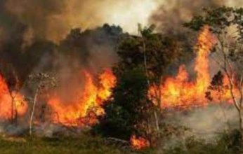 رجال الإطفاء في اليابان يواصلون معركتهم ضد حرائق الغابات