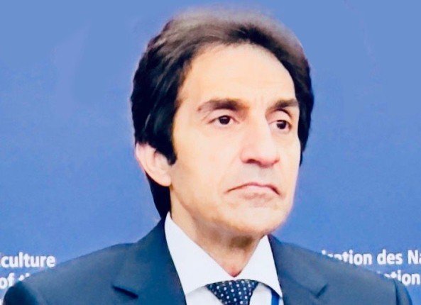 «المركزي المصري للمحاسبات» يفوز بمنصب مراجع «الفاو» لأول مرة في تاريخ المنظمة العالمية «المركزي المصري للمحاسبات» يفوز بمنصب مراجع «الفاو» لأول مرة في تاريخ المنظمة العالمية