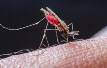 اكتشاف دواء يحوّل دم الإنسان إلى سم قاتل للبعوض.. ما القصة؟