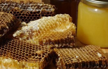 الصين تتصدر قائمةاكثر الدول المصدرة لعسل النحل على مستوى العالم