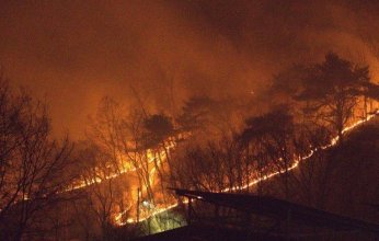 ارتفاع حصيلة ضحايا حرائق الغابات بكوريا الجنوبية إلى 28 قتيلا
