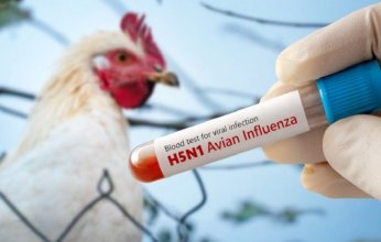 المكسيك تعلن تسجيل أول حالة إصابة بشرية مؤكدة بإنفلونزا الطيور