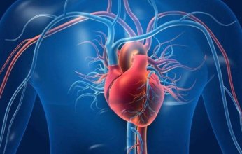 دواء تجريبي يوفّر وقاية غير مسبوقة ضد أمراض القلب
