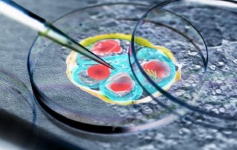 تحذير من انتشار طفيلي مميت قد يؤدي إلى فشل الكبد