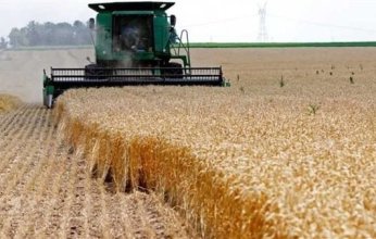 الرئيس بوتين تبرع بـ30 ألف طن من القمح لانقاذ اهالى غزة