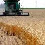 مصر: شعبة المستوردين تراجع واردات القمح 25% خلال 9 شهور