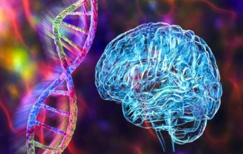 مرض دماغي نادر يثير الذعر في ولاية أوريغون الأميركية بعد تسجيل وفيات.. ماذا يحدث؟