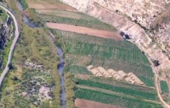 الاحتلال الإسرائيلي يعتقل مواطنًا سوريًا ويصادر ماشيته في درعا