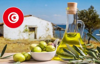 تونس الأولى عالميًا في جودة زيت الزيتون البكر