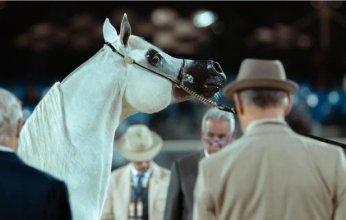 الأربعاء.. انطلاق "جولة الرياض" من جولات الجياد العربية