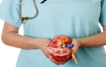 علماء يابانيون ينجحون في إبطاء تدهور وظائف الكلى لدى الفئران باستخدام الخلايا الجذعية