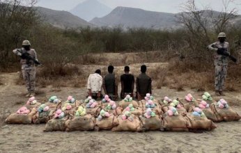 ضبط (4) أشخاص لمحاولتهم تهريب كمية من نبات القات المخدر بمنطقة جازان